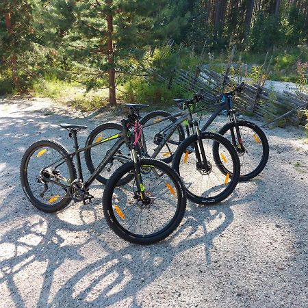 Kolinkylä Aalto Koli 빌라 외부 사진